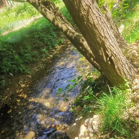 Nature Villa *
