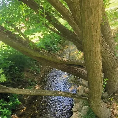 Nature Villa *